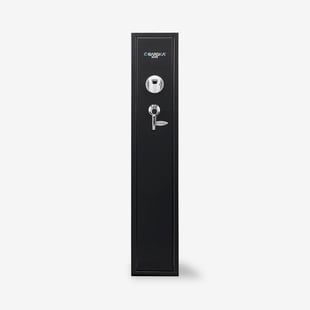 Gun Safe Example Product