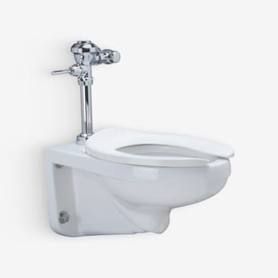 Toilet Bowl System Example Product