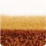 Cinnamon/White