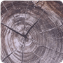 Knotwood