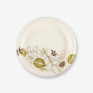 Disposable Dishes Example Product