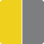 Yellow/Gray
