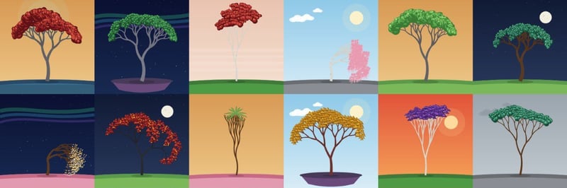 robinhoodtrees banner