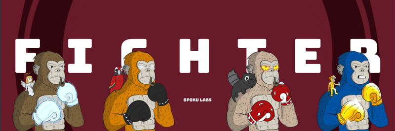 FIGHTER banner