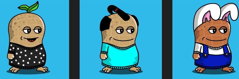 Nutz Nft banner