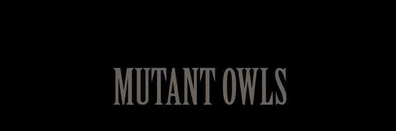 Mutant Owls banner