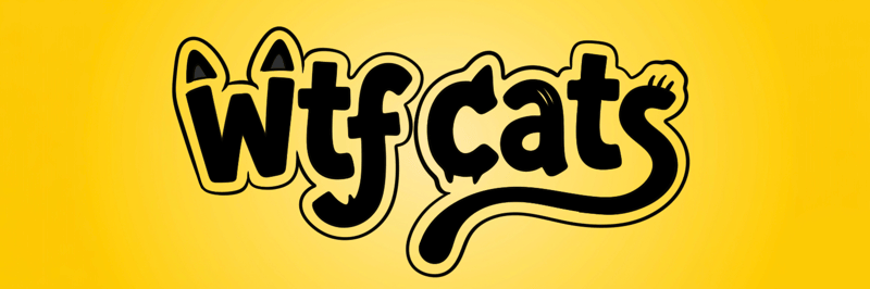Wtf cats banner