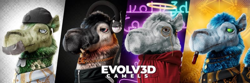 The Evolved Camels banner