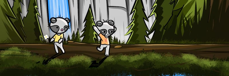 Raccooz banner