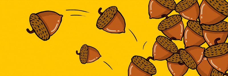 Nuttards banner