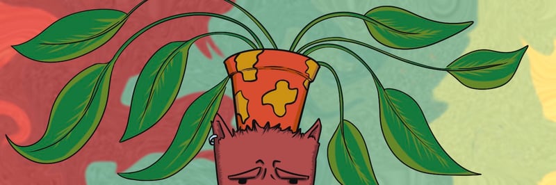 Suidaes banner