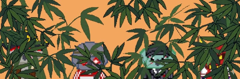 Koalified banner