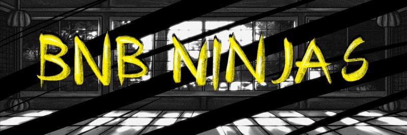 BNB Ninjas banner