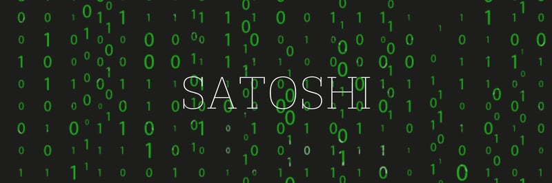 Satoshi Skulls banner