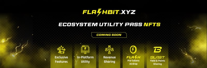 Flashbit banner