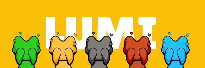 LUMI banner