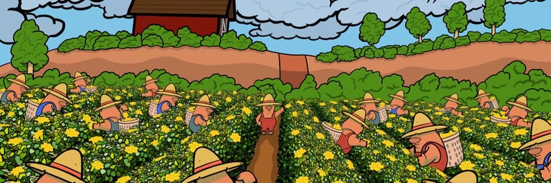 Burrrs Print banner
