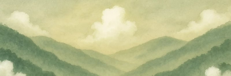 Hypurr Ninjas banner