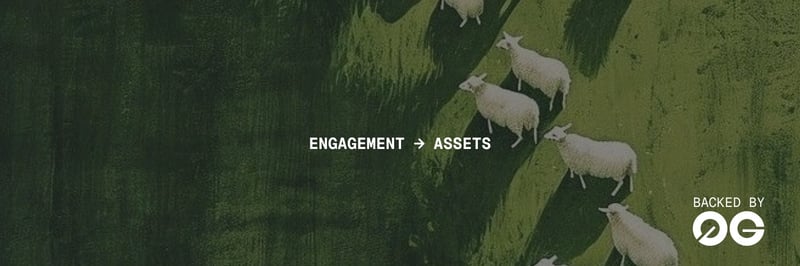 AskDollyToday banner