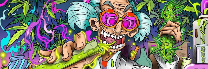 Stoney Society banner