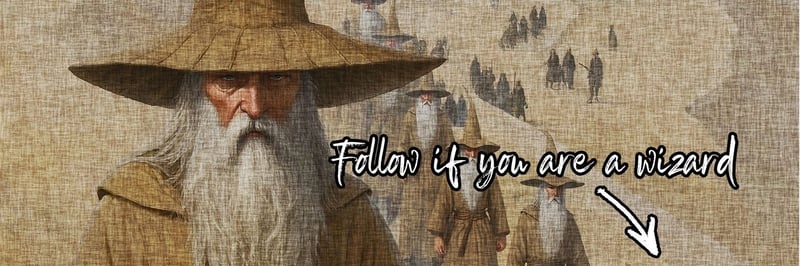 World Wise Wizards banner