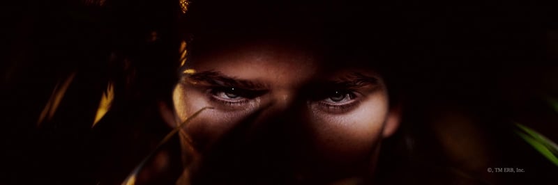 Tarzan banner