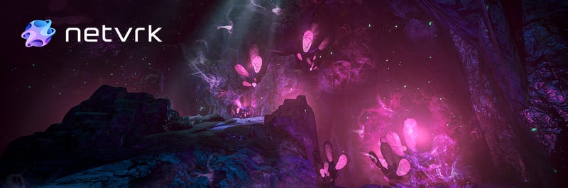 Netvrk Official banner