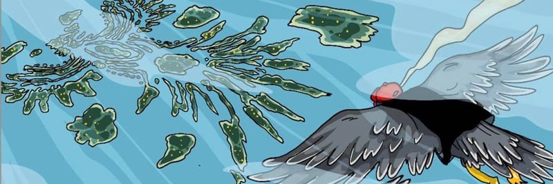 Birdez Gang Land banner