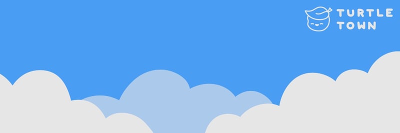 Turtle Town banner
