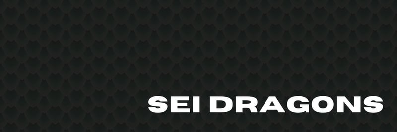 Sei Dragons banner