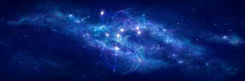 Mittaria banner