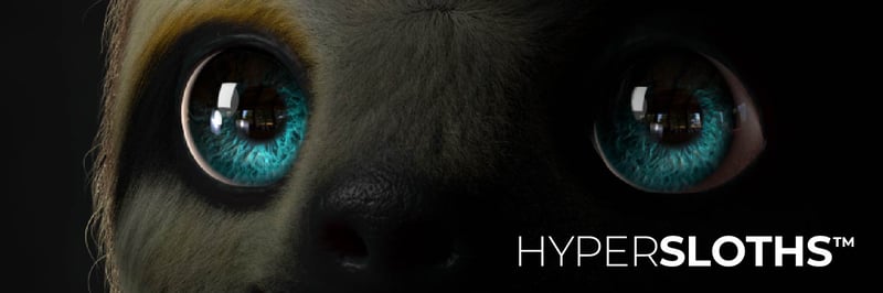 Hypersloths banner