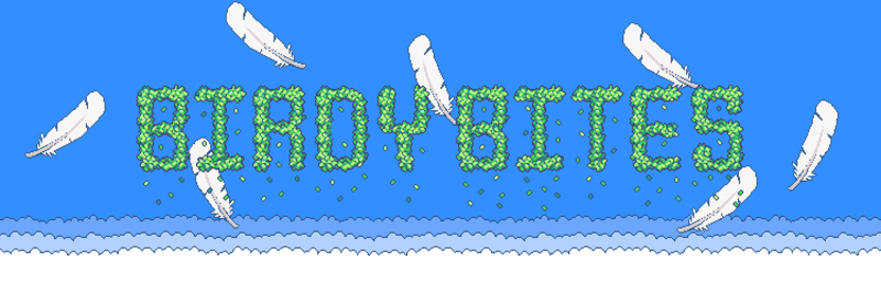 BIRDYBITES banner