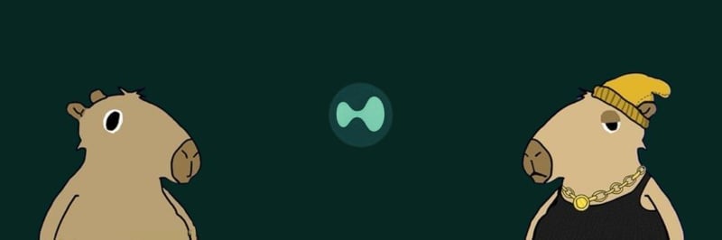 Capy Bros banner