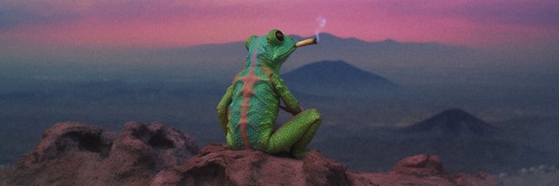 Toadcore banner
