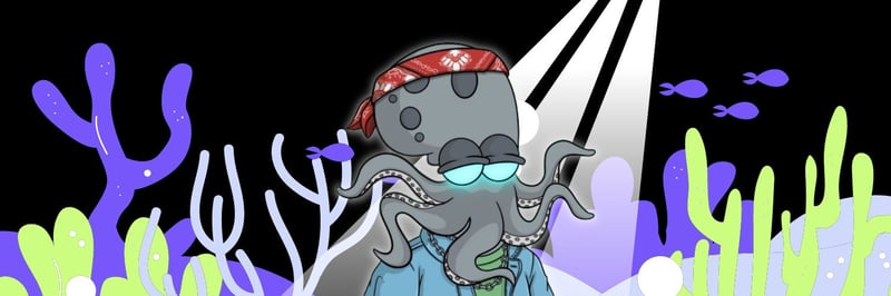 SoltyKrakens banner