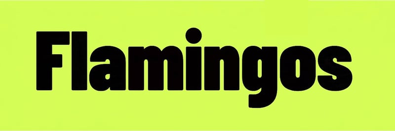 Flamingos banner