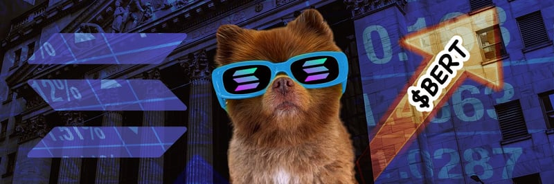 bertram-the-pomeranian banner