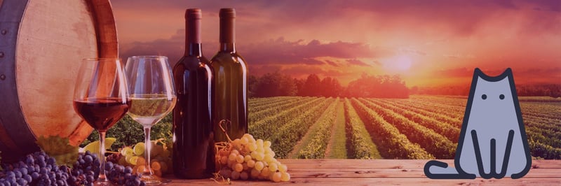 Grumpy Cantina Wine Club banner