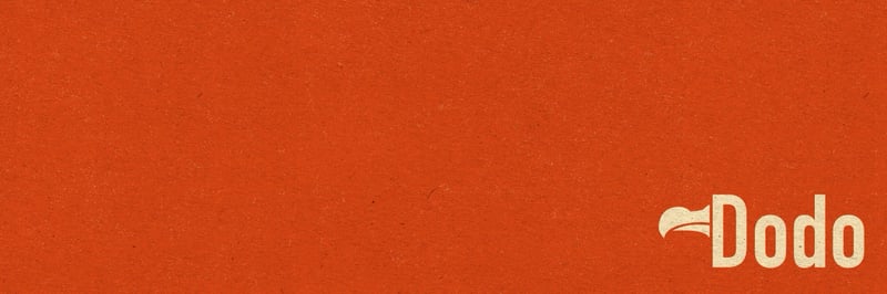 BitDodos banner