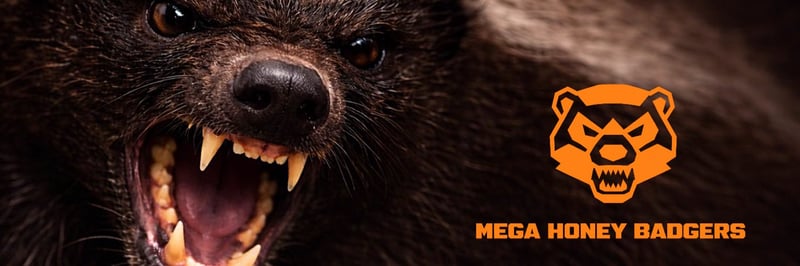 MEGA HONEY BADGERS banner