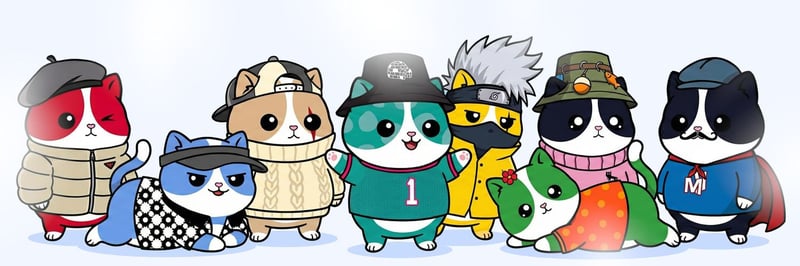Meow & Co. banner