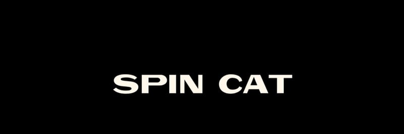 SpinCat banner