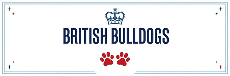 BritBullDogsNFT banner