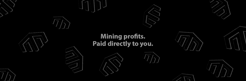 MetaMiner banner