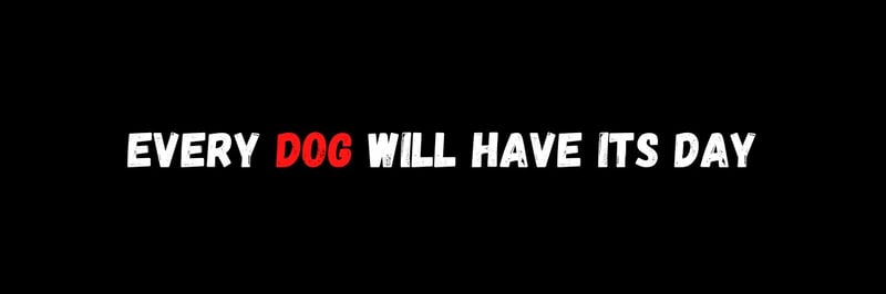 BoDoggos banner