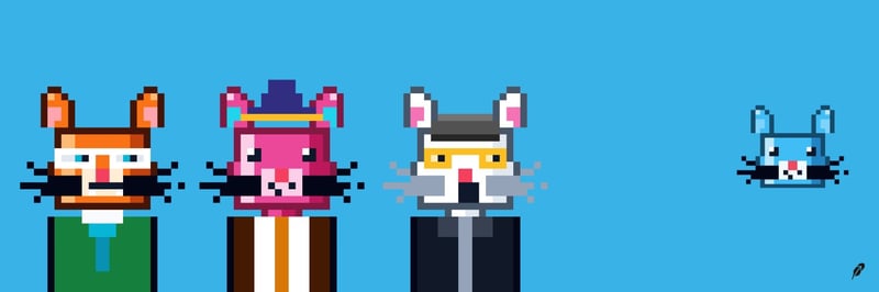 KittiHood banner