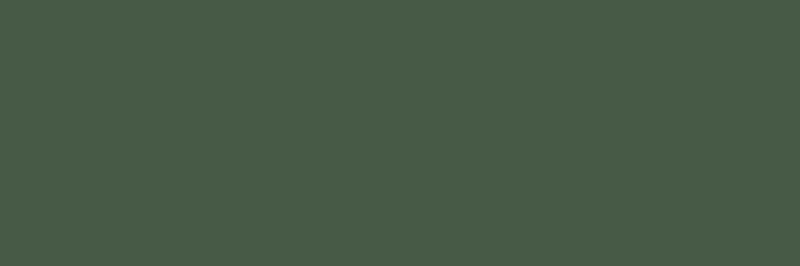 Onchain Brett banner