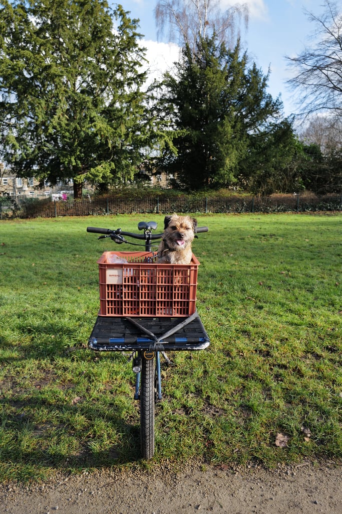 Lunch time spin to Screwfix and then the park