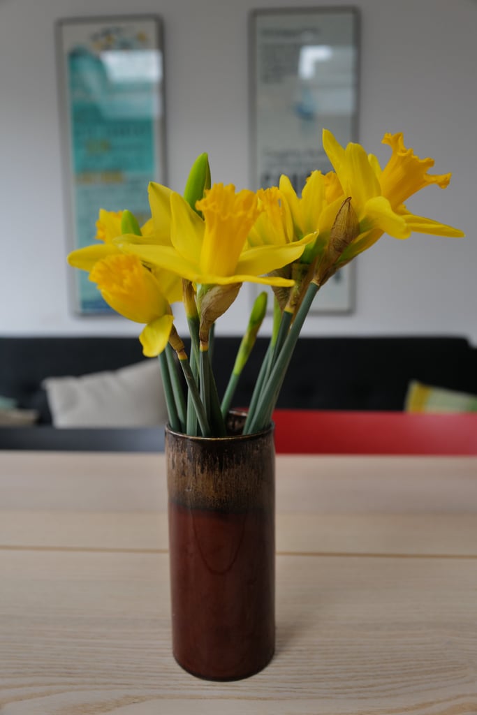 Fresh daffodils on the table.